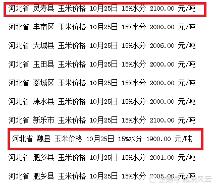 沧州玉米价格最新行情解析